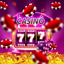 win567
