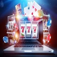 win567